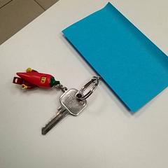 Giltza-giltza DE CLÉS, gisa salatu by ilévia iLost erabiliz