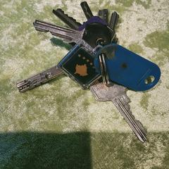 sleutelbos, amint azt az iLostnak jelentették.