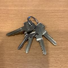 İLost kullanarak Gemeente Amsterdam tarafından bildirildiği gibi Anahtarlık 6 sleutels