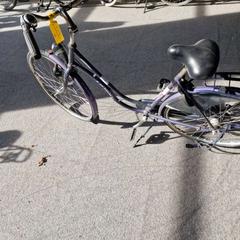 İLost kullanarak Gemeente Roermond tarafından bildirildiği gibi Kadın bisikleti