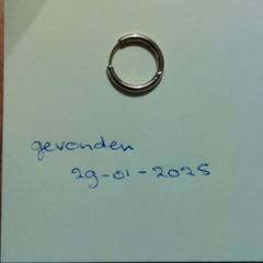 Gouden oorring, come riportato a iLost