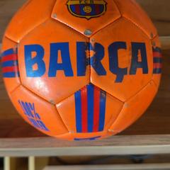 Balle Barca, a été signalé par Attractie- & Vakantiepark Slagharen utilisant iLost
