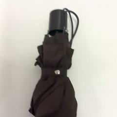 Deštník Bruin, jak nahlášeno Arriva Limburg Zuid pomocí iLost