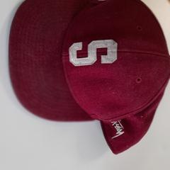 Pet, gisa salatu by Connexxion Haarlem IJmond iLost erabiliz