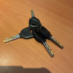 Nøkkel Balie, som rapportert av Gemeente Amsterdam ved bruk av iLost