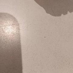 Schuh, gemeldet von De Efteling über iLost