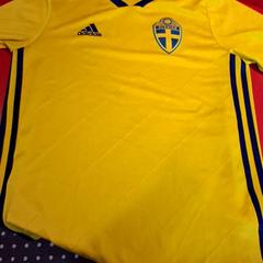 Shirts Svensk landsholdstrøje, as reported by Fjord Line – MS Stavangerfjord / Bergensfjord using iLost
