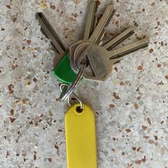 Sleutelbos, gerapporteerd met iLost