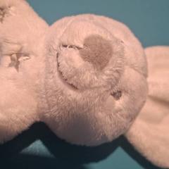 Guizo konijn, como reportado por De Tovertuin utilizando o iLost