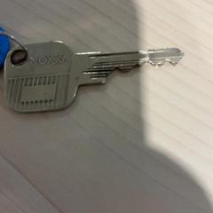 Key, as reported by Gemeente Wijk bij Duurstede using iLost