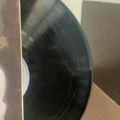 ل.ب، كما تم الإبلاغ عنه بواسطة Pathé Amersfoort عبر iLost