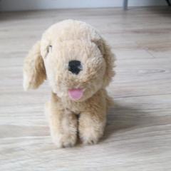 Knuffel hondje, segundo informou IKEA Heerlen usando iLost