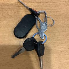 Chiavi, come riportato da Gemeente Amsterdam - Bureau Gevonden Voorwerpen utilizzando iLost