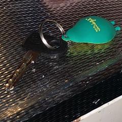 Bike key