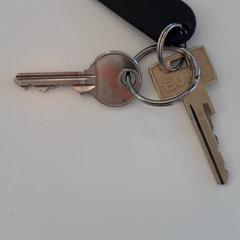 Keys, as reported by St. Antonius Ziekenhuis Woerden using iLost