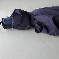 Regenschirm Grijs, gemeldet von Regio Oost-Vlaanderen über iLost