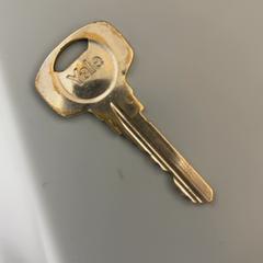 İLost kullanarak Fenix tarafından bildirildiği gibi Anahtar