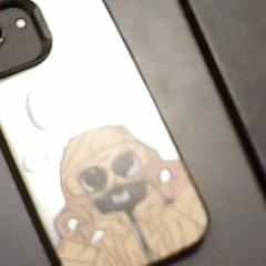 Telefoon iPhone، كما تم الإبلاغ عنه بواسطة SnowWorld Landgraaf عبر iLost