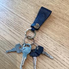 Sleutels, zoals gemeld door Stad Hasselt met iLost