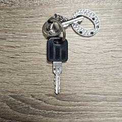 Sleutels, gemeldet von RRReis IJssel-Vecht Lelystad über iLost