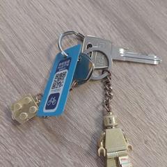 İLost kullanarak EBS OV Poeldijk tarafından bildirildiği gibi Anahtarlar