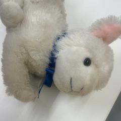 Bamse, a été signalé par IKEA Ringsaker utilisant iLost