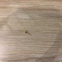 Pendiente Goud, ha sido reportado por Van der Valk Hotel Vianen con iLost