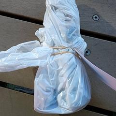 バッグ - Draagtas がiLostで Regio Antwerpen - Brussel によって報告されました