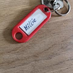 Sleutel met rode tag "Millie"/"Hillie", ako bolo nahlásené iLost