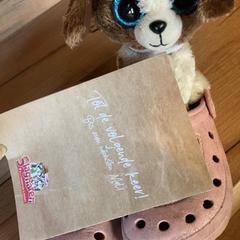 Giocattolo & Scarpa, come riportato da Attractie- & Vakantiepark Slagharen utilizzando iLost