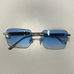 サングラス met blauwe glazen en houtkleurig frame がiLostで Gemeente Oirschot によって報告されました