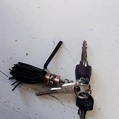 Porte-clés, a été signalé par Hermes Eindhoven utilisant iLost