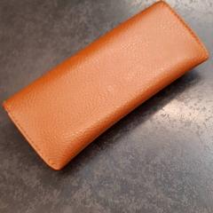 Caixa de óculos com óculos no interior, como reportado por Rotterdam The Hague Airport utilizando o iLost