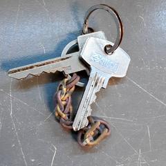 Sleutel, zoals gemeld door Diergaarde Blijdorp met iLost