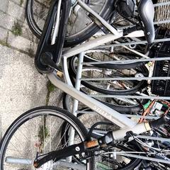 Bicicleta de mujer Stella, ha sido reportado por Stadswerk072 con iLost