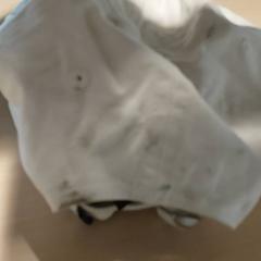 Clothing - pet, as reported by Regio Antwerpen - Brussel using iLost