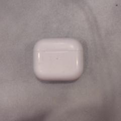 Airpods 3, as reported by Walibi Holland using iLost