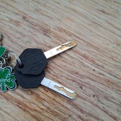 Llave Sleutelbos, ha sido reportado por Gemeente Zeist con iLost