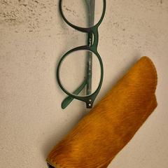 Pouzdro na brýle s brýlemi Groen, jak nahlášeno Mauritshuis Den Haag pomocí iLost