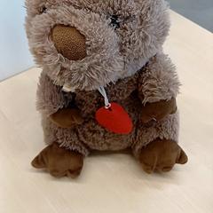 دمية دب، كما تم الإبلاغ عنه بواسطة IKEA Clermont Ferrand عبر iLost