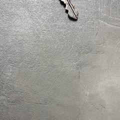 Gakoa Zwart, gisa salatu by Arriva Friesland / Groningen iLost erabiliz