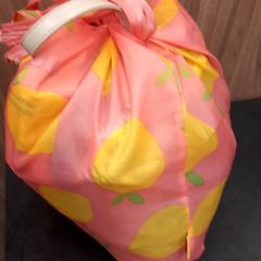 バッグ がiLostで Rotterdam The Hague Airport によって報告されました