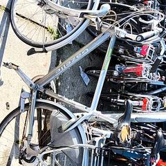 Pánsky bicykel gazelle, ako bolo nahlásené Stadswerk072 pomocou iLost