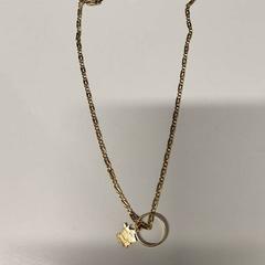 Collar, ha sido reportado por St. Antonius Ziekenhuis Nieuwegein con iLost