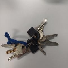 sleutelbos 9 fiets en huis sleutels blauw lintje, ha sido reportado a iLost