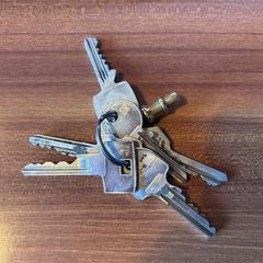 Sleutelbos, segons s'ha informat a iLost