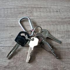 Sleutelbos, iLost에 보고됨