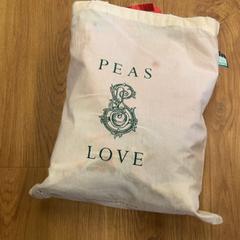 Bag, as reported by GVB using iLost