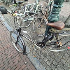 Bicicleta de mujer, ha sido reportado por Gemeente Roermond con iLost