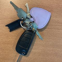 İLost kullanarak Gemeente Amsterdam tarafından bildirildiği gibi Anahtarlar